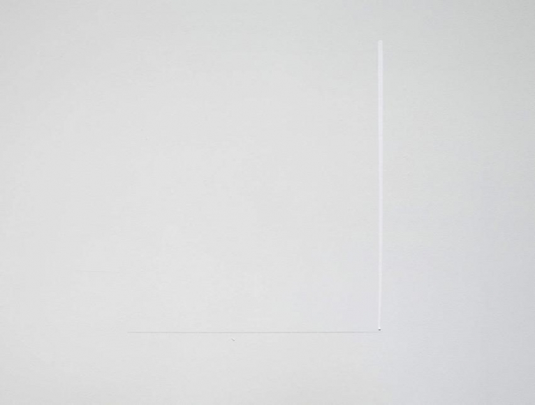 Fernanda Gomes, Untitled