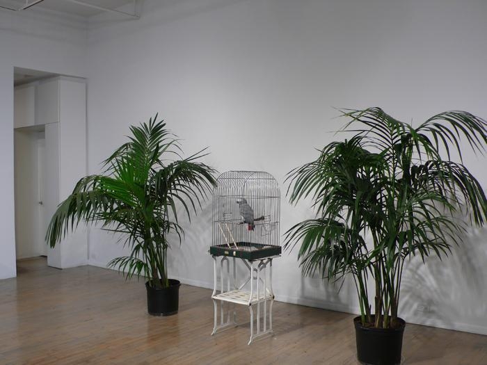 Marcel Broodthaers (1924 - 1976)