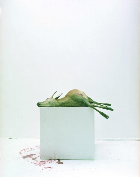 Eric Poitevin , Sans titre