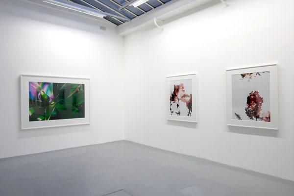 James Welling – installation view 6