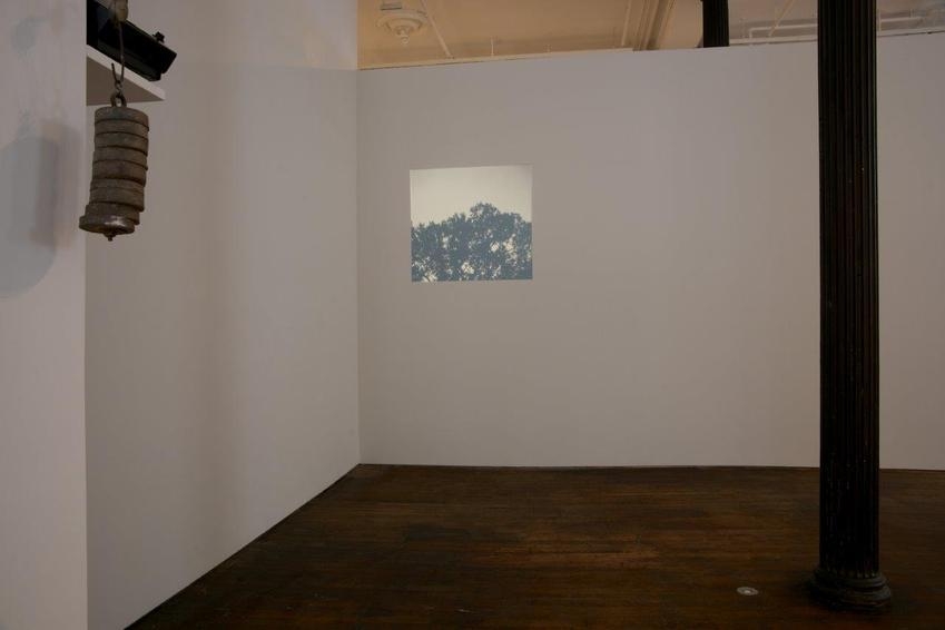 Helen Mirra, 
