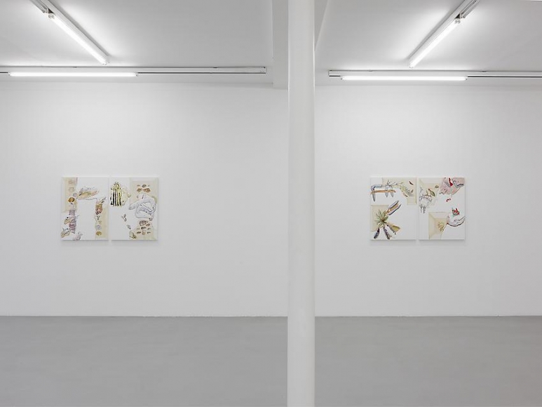 Pia Fries: Merian's Surinam – installation view 10