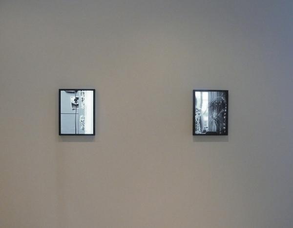 Fiona Tan, Provenance