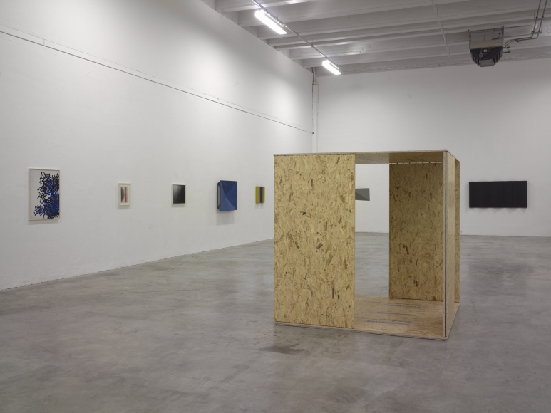 Pergola: Retrospective, Palais de Tokyo, Paris