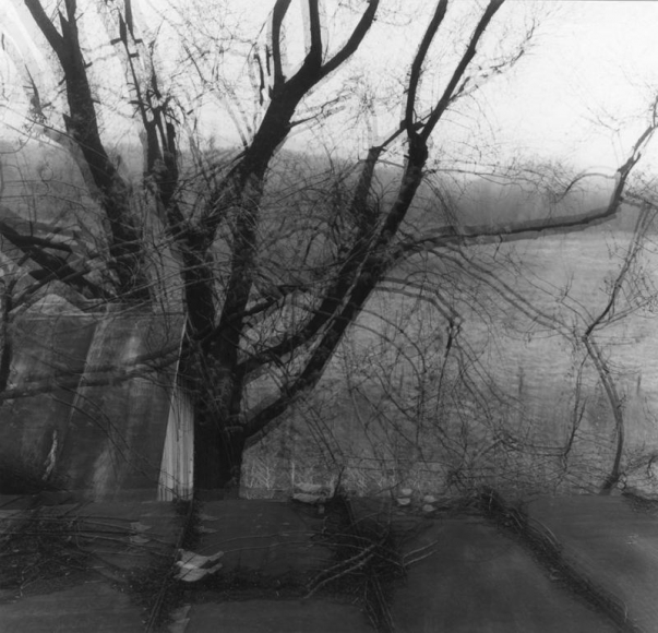 Ralph Eugene Meatyard,