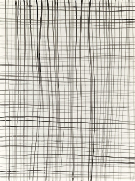 Silvia Bächli Lines 39