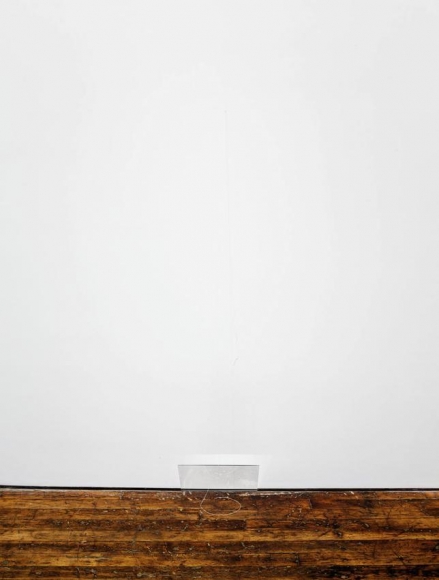 Fernanda Gomes, Untitled