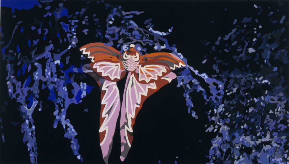 Butterfly by Francesca Gabbiani