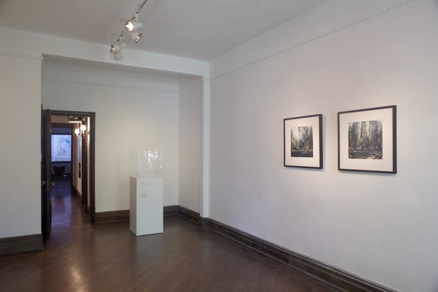 The Nature of Disappearance: Part II (Installation view), Marianne Boesky Gallery, Uptown, 2012