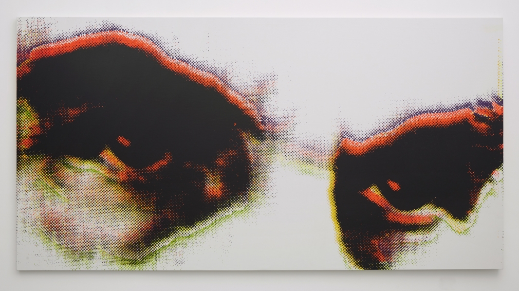 Untitled, 2013, Silkscreen ink on canvas