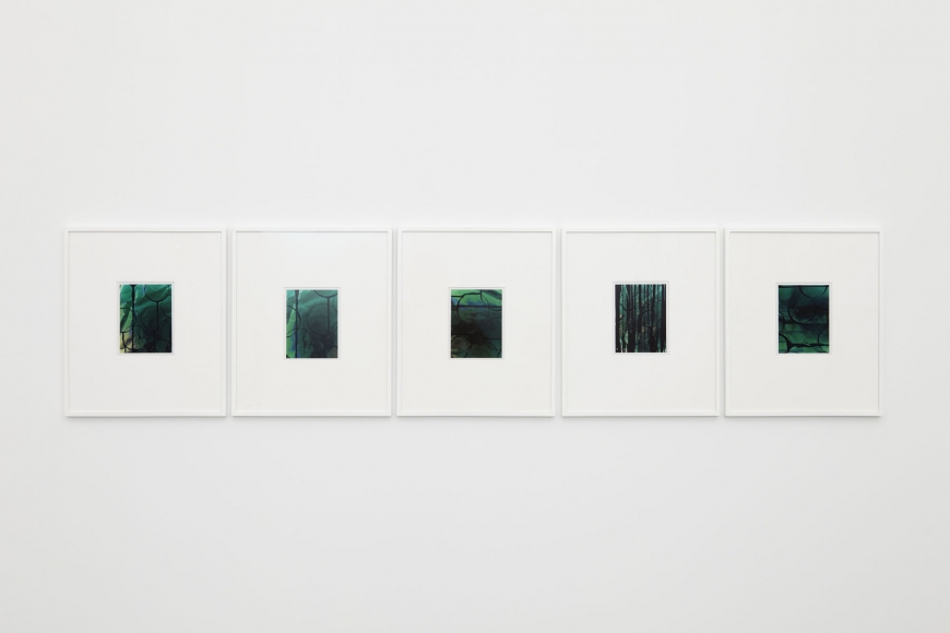green abstract photograph series by contemporary artist anthony pearson