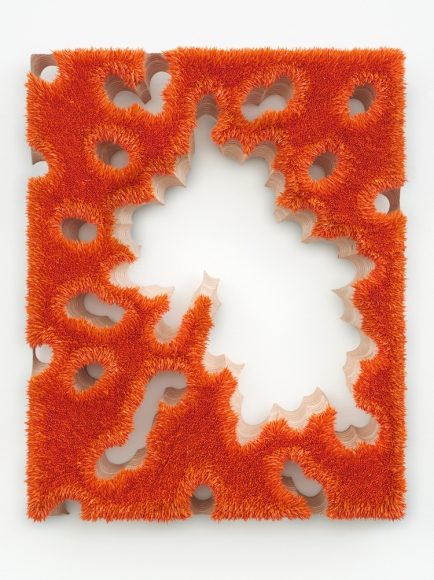 a sculptural painting by donald moffett with nature references in a bright orange color