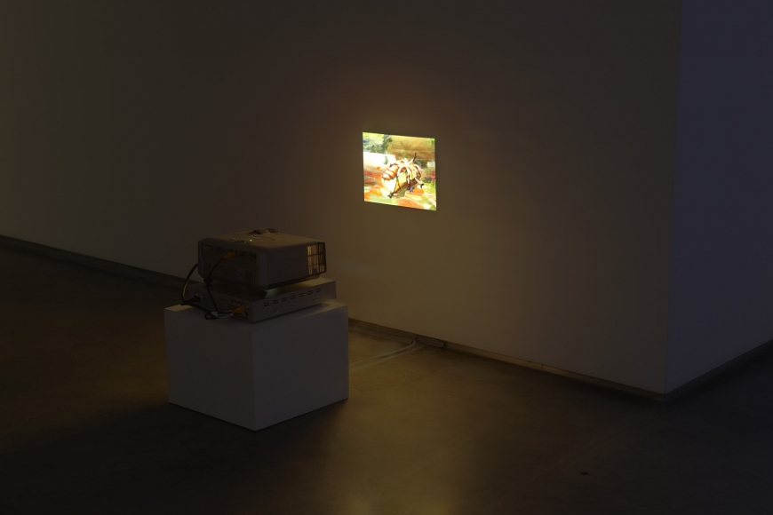 Jacco Olivier (Installation view), Marianne Boesky Gallery, 2010