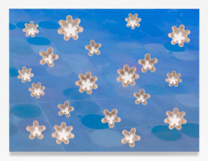 Lot 082916 (fallow field and farmhouse), 2016, Pigmented epoxy resin, archival inkjet print on wood panel support with steel hardware