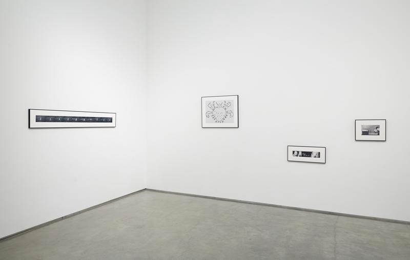 Beverly Hills John (Installation View), Marianne Boesky Gallery, 2015