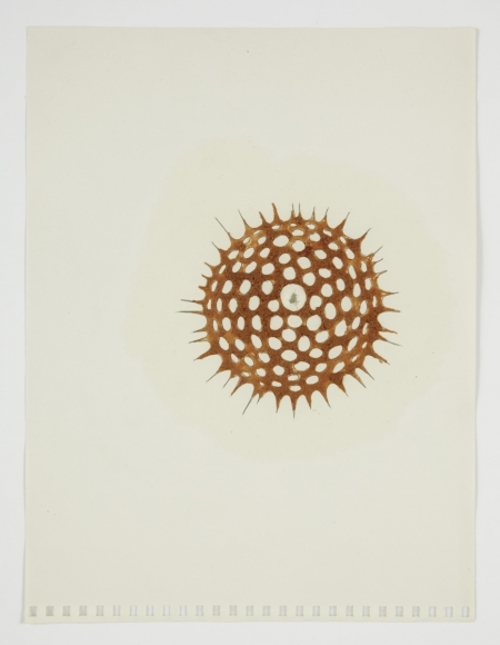 Robert Beck & Donald Moffett, Range, 1997