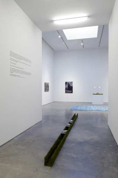 The Nature of Disappearance: Part I (Installation view), Marianne Boesky Gallery, 2012