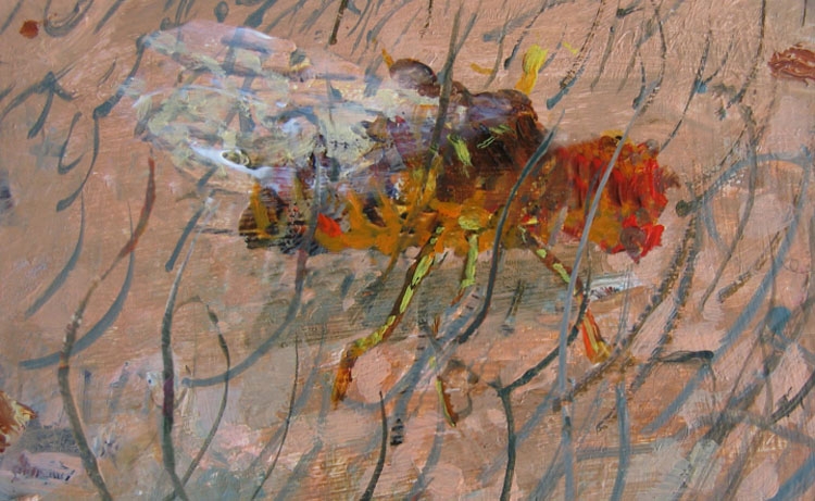 Still from 11 a.m., 2004, Animation on DVD