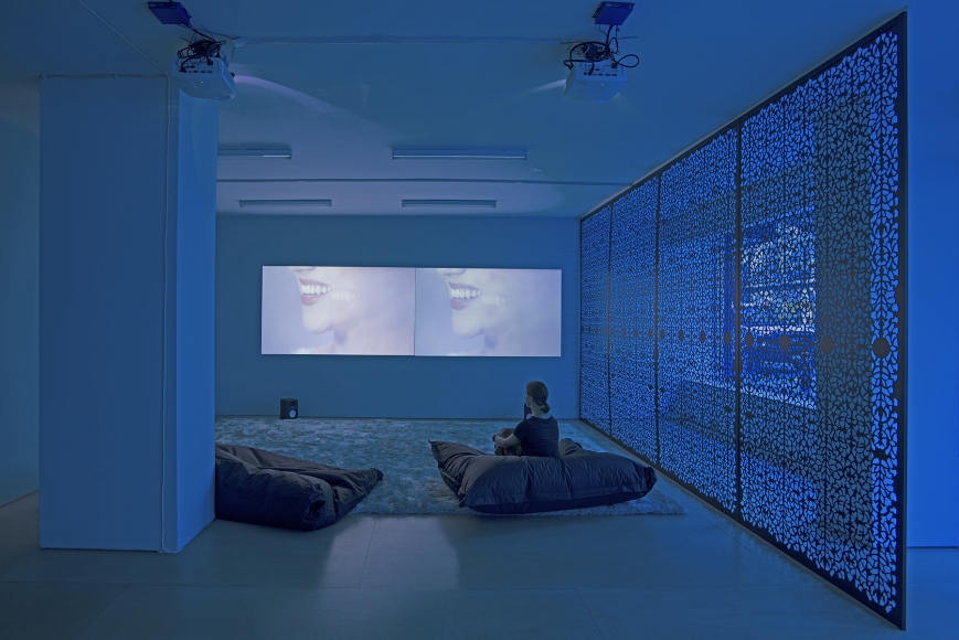 The Blue Lenses (Installation View), 20 Clinton Street, 2015