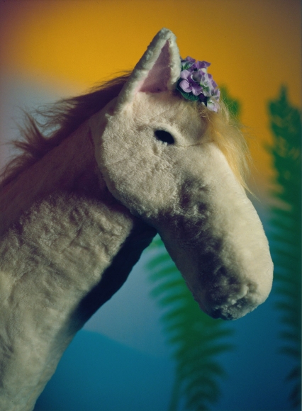 a stuffed horse photograph by artist sue de beer in a nyc gallery
