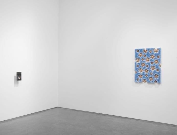 any fallow field (Installation View), Boesky East, 2016