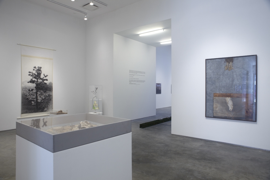 The Nature of Disappearance: Part I (Installation view), Marianne Boesky Gallery, 2012