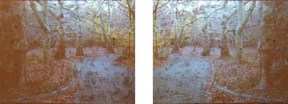 Gold / Tupelo Plains, 2003, Video projection, oil and enamel on linen