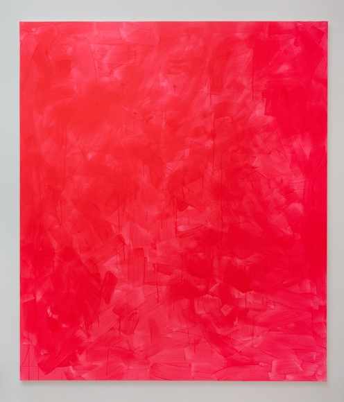 Gardar Eide Einarsson, Flourescent Pink III, 2013