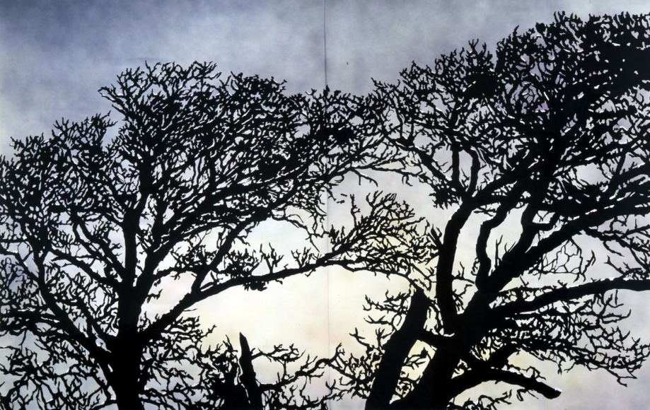 Silhouette of trees by Francesca Gabbiani