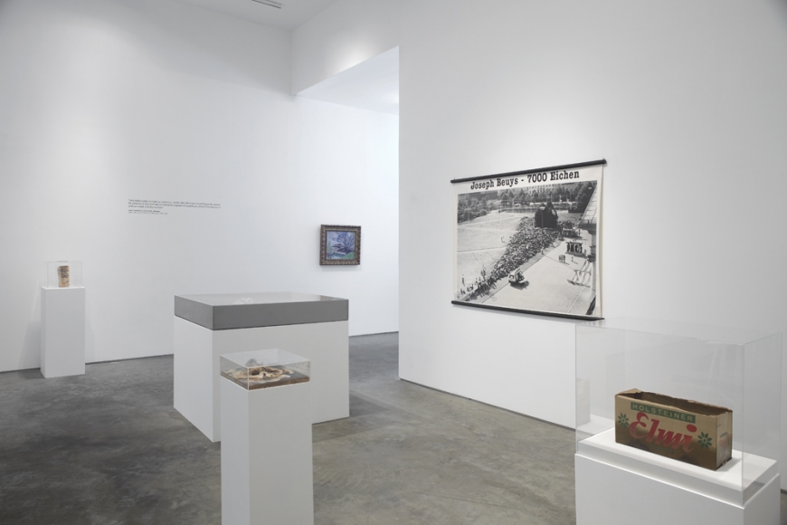 The Nature of Disappearance: Part I (Installation view), Marianne Boesky Gallery, 2012