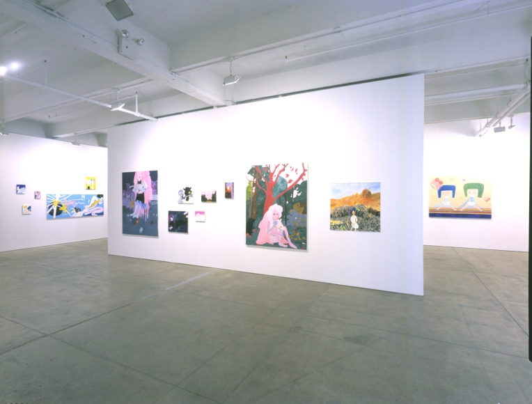 Tokyo Girls Bravo (Installation View), Marianne Boesky Gallery, 2004