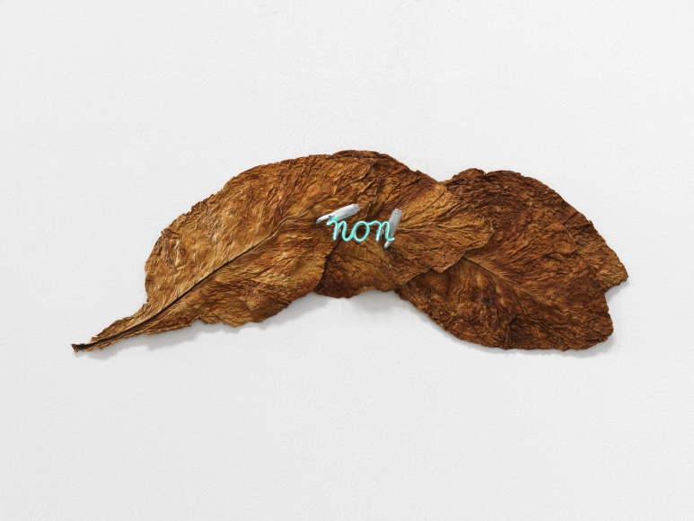 Non, 1969-1970, Virginia tobacco leaves, blue fluorescent tubes, transformer