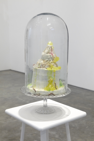 Dana Sherwood, Tenebrio molito, 2012