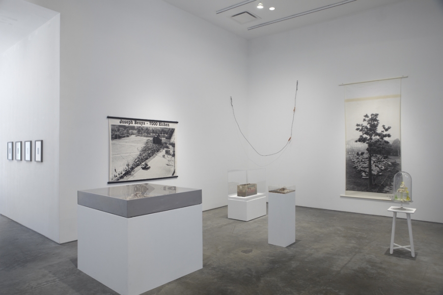The Nature of Disappearance: Part I (Installation view), Marianne Boesky Gallery, 2012