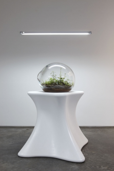 plants in a clear orb on a pedestal by paula hayes
