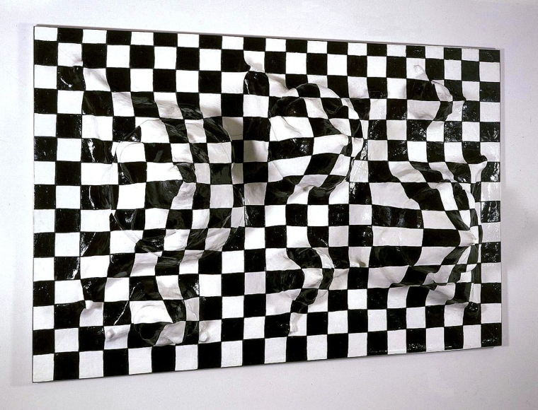 checkerboard illusion sculpture by liz craft