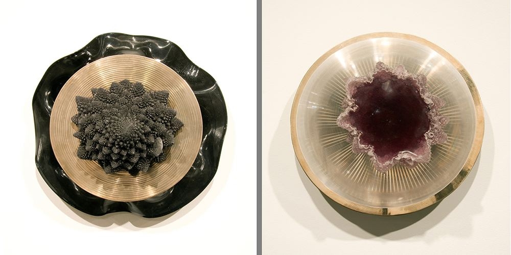 Graem Whyte, You are here: Center of the Universe, 2011