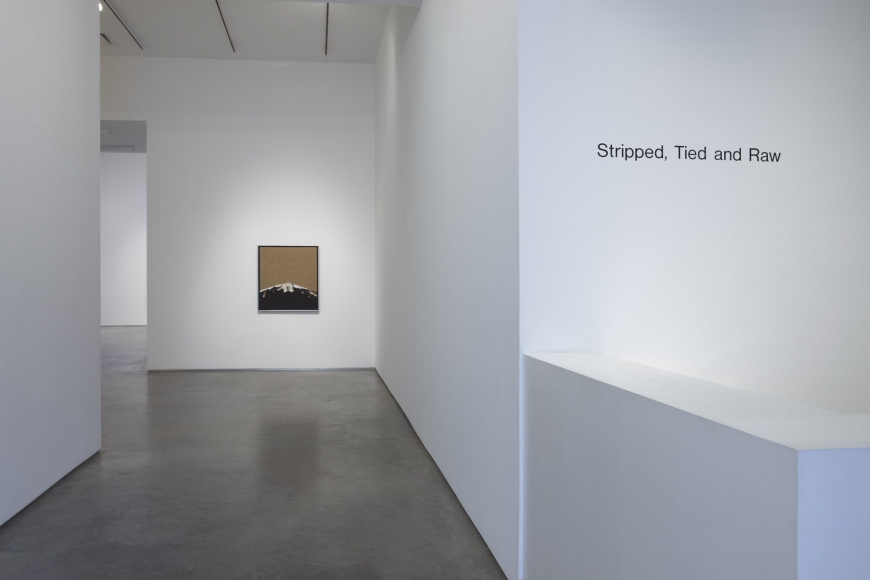 Installation View, Marianne Boesky Gallery, 2010