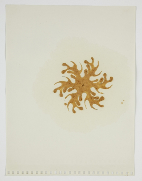 Robert Beck & Donald Moffett, Range, 1997