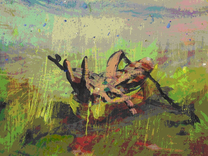 Stumble, 2009, Animation on DVD