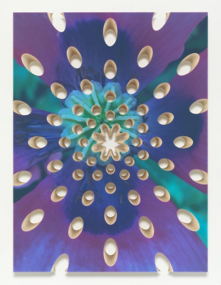Lot 082816 (poppy), 2016, Pigmented epoxy resin, archival inkjet print on wood panel support with steel hardware