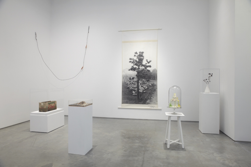 The Nature of Disappearance: Part I (Installation view), Marianne Boesky Gallery, 2012