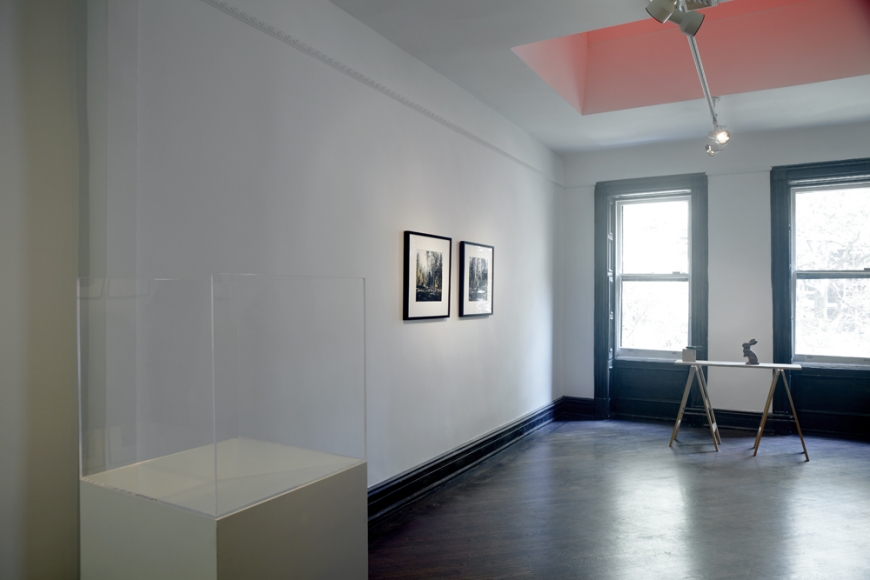 Carey Young, Missing Mass, 2010