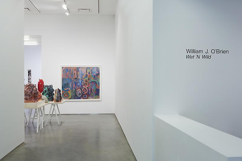 Wet 'n Wild (Installation View), Marianne Boesky Gallery, 2013