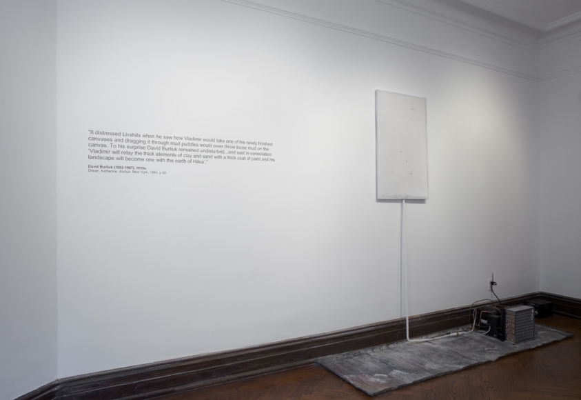 The Nature of Disappearance: Part II (Installation view), Marianne Boesky Gallery, Uptown, 2012