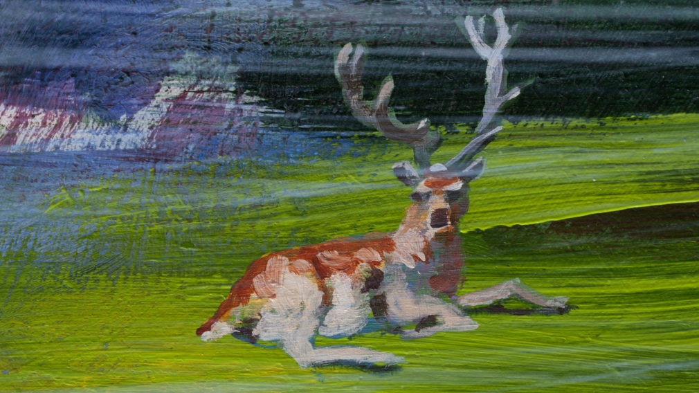 Deer, 2011 , Animation on Blu-ray site specific: projection screen in bushes 
