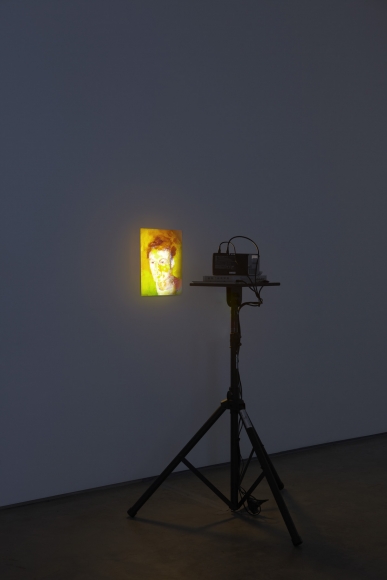 Jacco Olivier (Installation view), Marianne Boesky Gallery, 2010