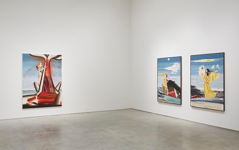 If Wishes Were Fishes (Installation View), Marianne Boesky Gallery, 2012