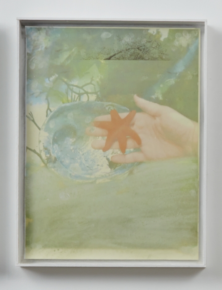 Josh Tonsfeldt, Andrew (Holding a Starfish), 2013 