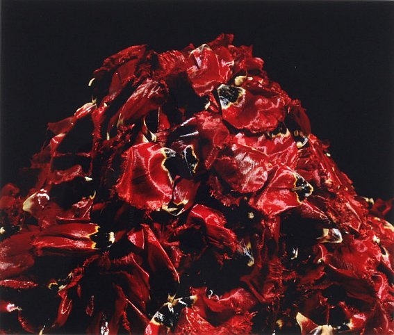 Yukio Nakagawa, The Magic Mountain, 1989-91